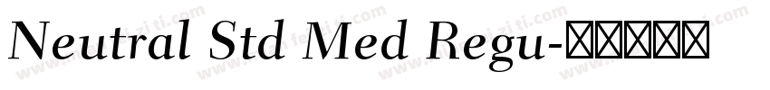 Neutral Std Med Regu字体转换